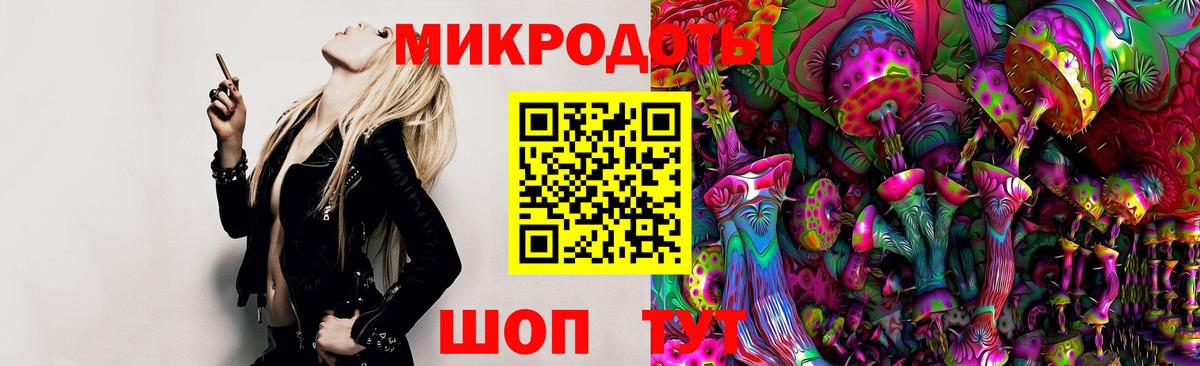 Псилоцибиновые грибы Cubensis Энгельс